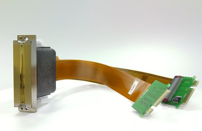 How to maintain the print head to prolong its life?