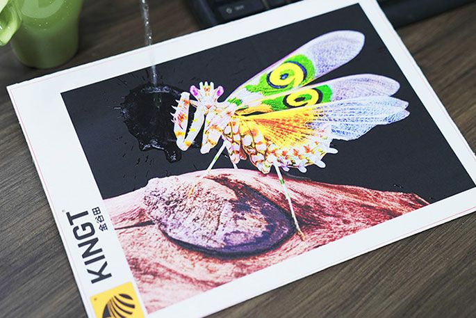 Coated Paper Printing